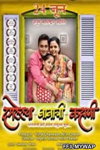 Damlelya Babachi Kahani (2016) Marathi Movie
